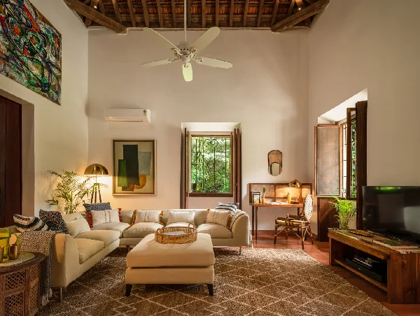 Crafting Living Canvases: The Story Behind Vianaar Homes