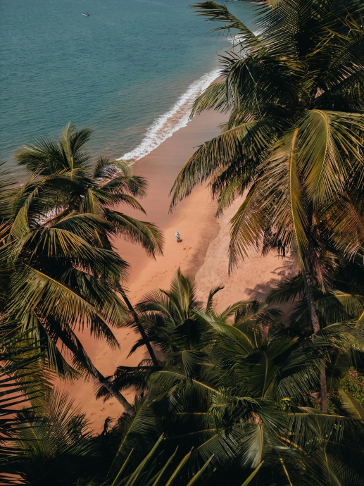 The Ultimate Long Weekend in Goa: A 3-Day Itinerary