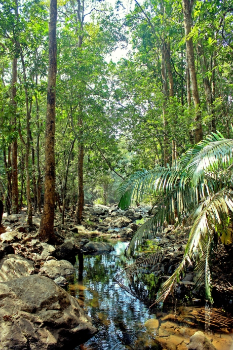 Why Goa in June Might Be the Most Beautiful Time to Be There