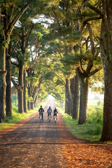 Scenic Cycling in Goa for Adventure Lovers