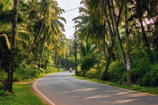 What Makes a Street in Assagao More Desirable Than Another? A Goa Travel Guide Perspective