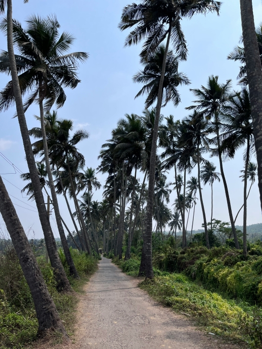 7 Hidden Gems in Goa You Must Visit for an Authentic Experience
