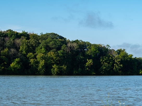 MEANDERING THROUGH THE GOAN MANGROVES