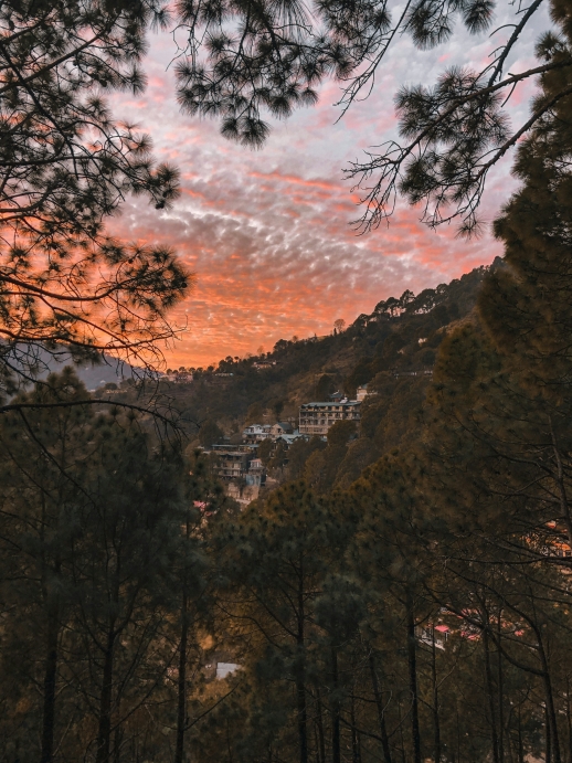 Trekking in Kasauli Allows You to Discover Offbeat Treks in Kasauli Hills