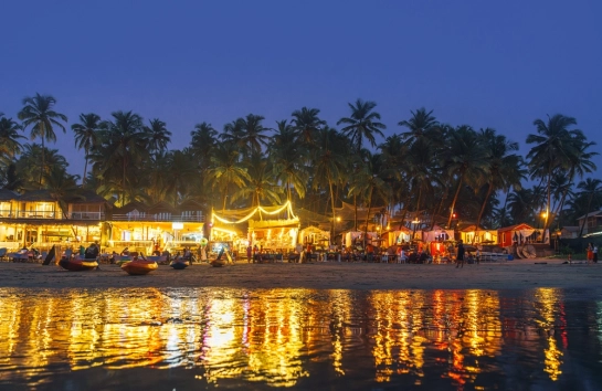 Night in Goa, morning in Goa: A Day led by Light and Appetite