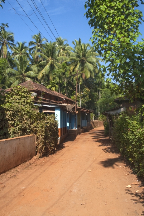 Coastal Village Goa: The Quiet Soundscape That Arrives After Sunset