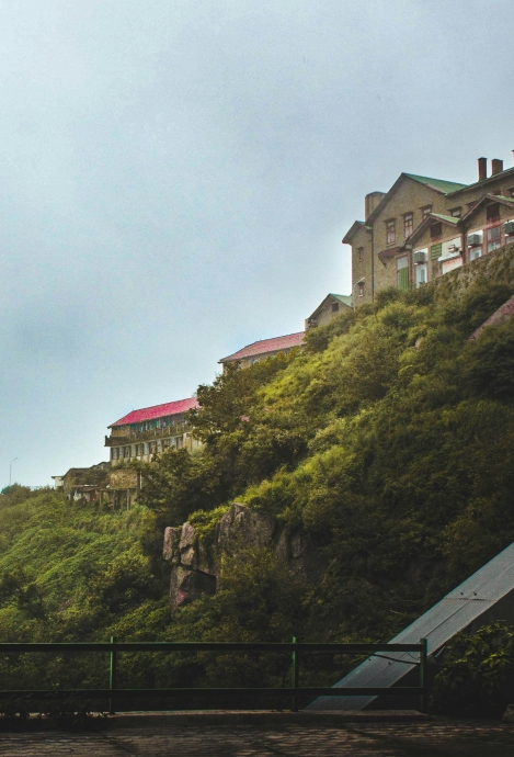 Kasauli Tourist Spots: Ideas That Kids Will Absolutely Love