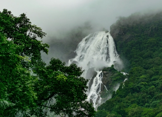 Dudhsagar Falls: What a Day Trip There Actually Involves