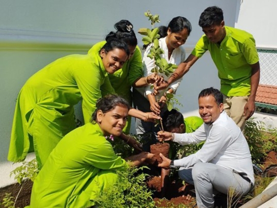 TREE PLANTATION DRIVE