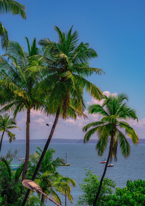 Discover the Best Beaches in South Goa: A Complete Guide for 2025