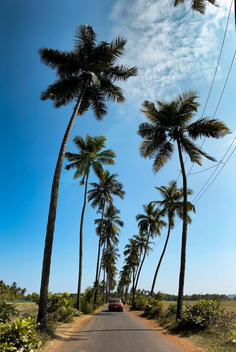 Goa in October: The Perfect Balance of Peaceful Mornings and Vibrant Nights