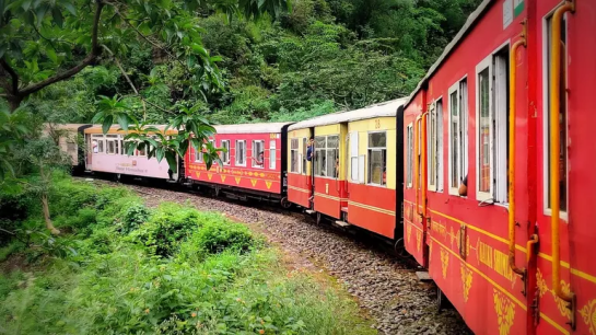 Why Toy Train Kasauli Is the Most Magical Ride in the Hills