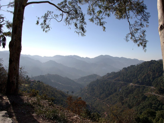 Himalayan Dreams With A Holiday Home In Kasauli