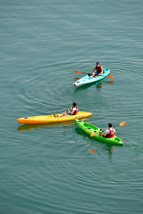 Baga Creek Kayaking: Glide Through Goa’s Hidden Natural Beauty