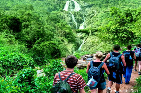 Trekking in Goa Takes You Through Lush Forests, Hills, and Coastal Views