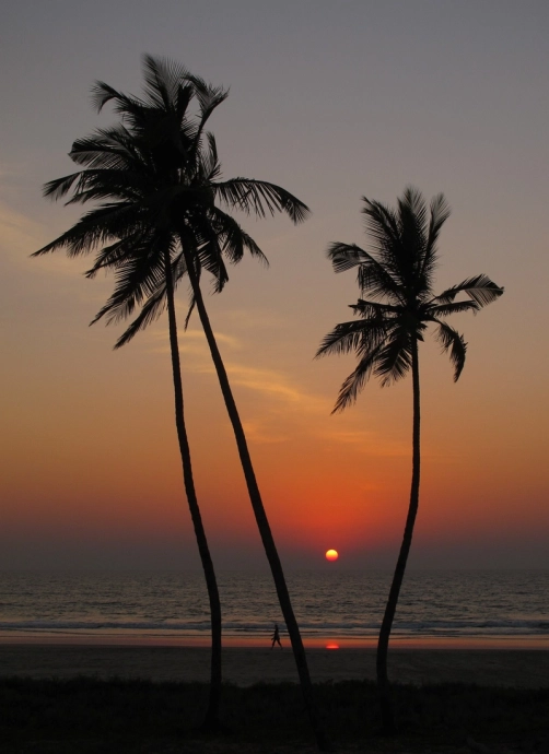 What a Luxury Villa in Goa Actually Costs to Build in 2026