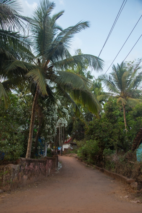 Coastal Village Goa: The Quiet Soundscape That Arrives After Sunset