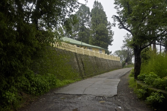 Morning Walks in Kasauli Hills: A Daily Ritual That Redefines Slow Living