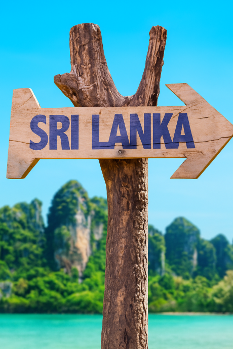 Places to Visit in Sri Lanka: Your Ultimate Guide