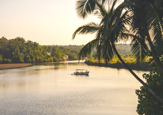 The River in Goa Is Only Part of the Story: Ponds, Wells and the Water That Shapes Village Life