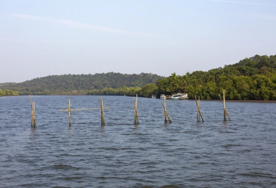 How the Rivers of Goa Shape Its Landscape and Communities