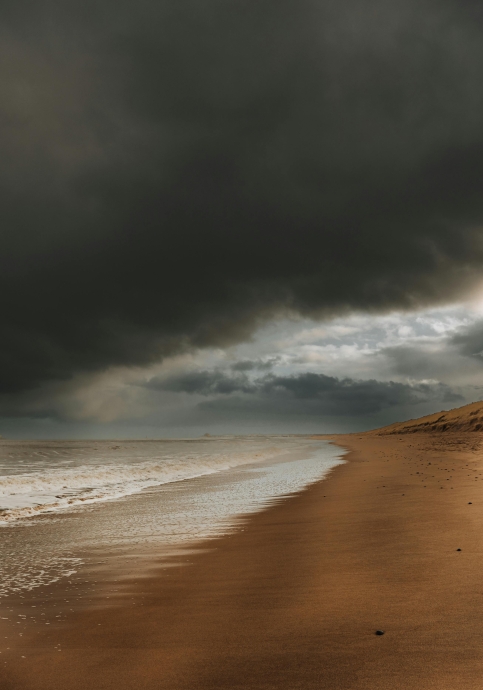 This Monsoon, Fall in Love with Goa: Not as a Tourist, But as an Owner