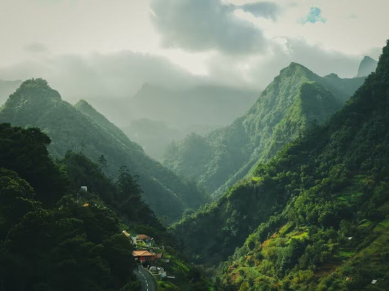 Himalayan Dreams With A Holiday Home In Kasauli