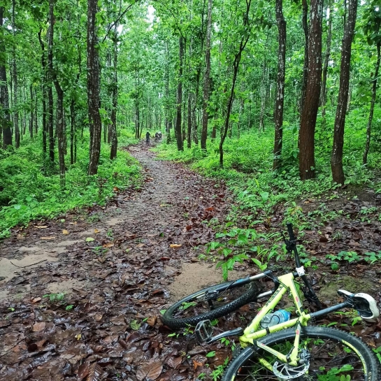 MAKING THE MOST OF THE MONSOON