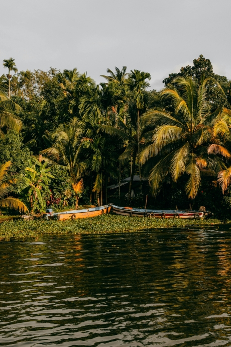 Activities in Goa That Let You Experience the Best of Coastal Life