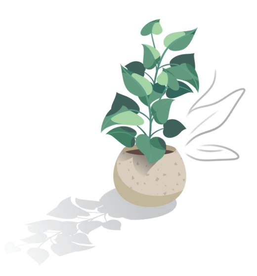 Potted Plant