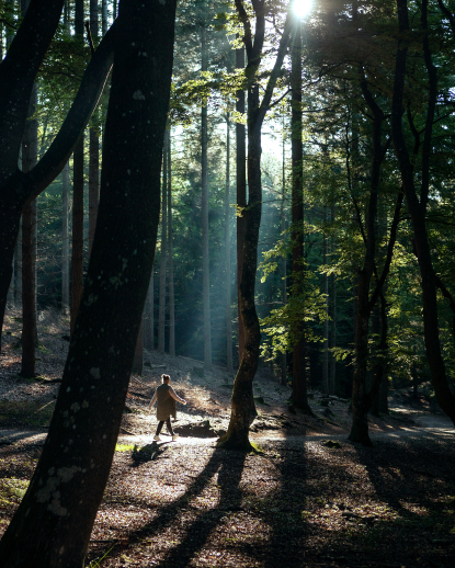 A day in Kasauli demands several more.