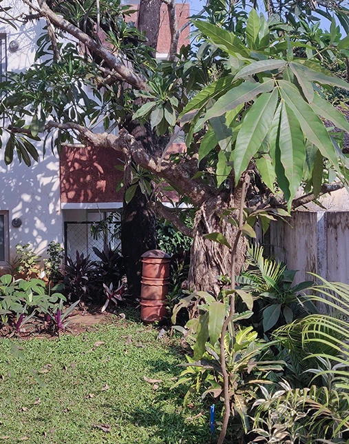 img-1
