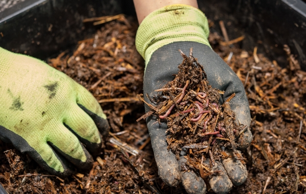 Composting & Segregation