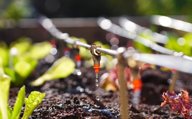 Composting & Segregation