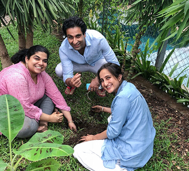 TREE PLANTATION DRIVE