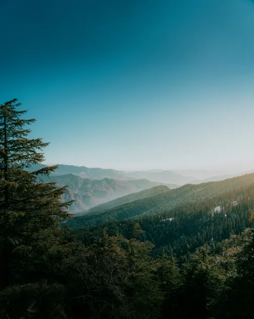 Untouched beauty. Pristine allure.