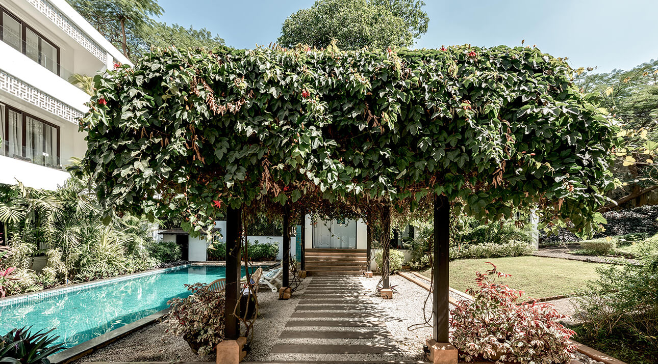 Cobble stone pathway with lush green canopy at Santa Terra