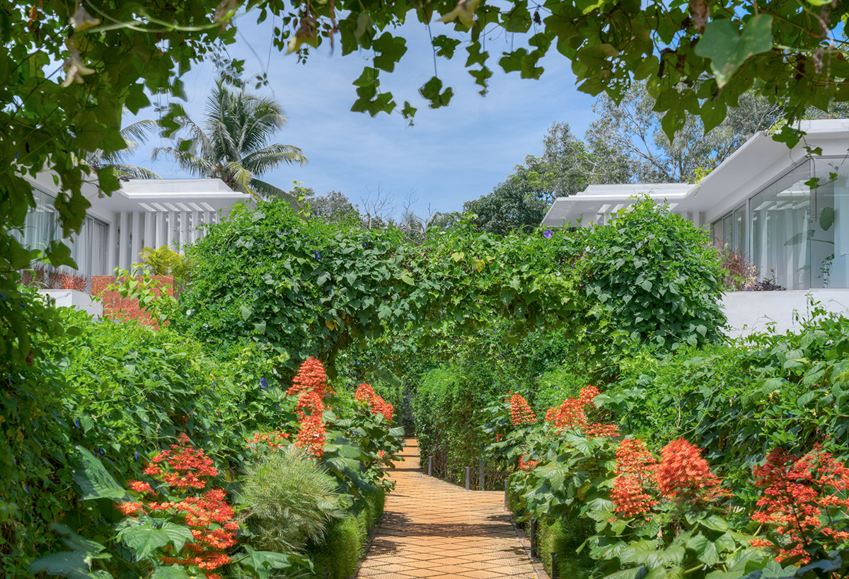 Lush green walkway at our villas in Vagator for sale